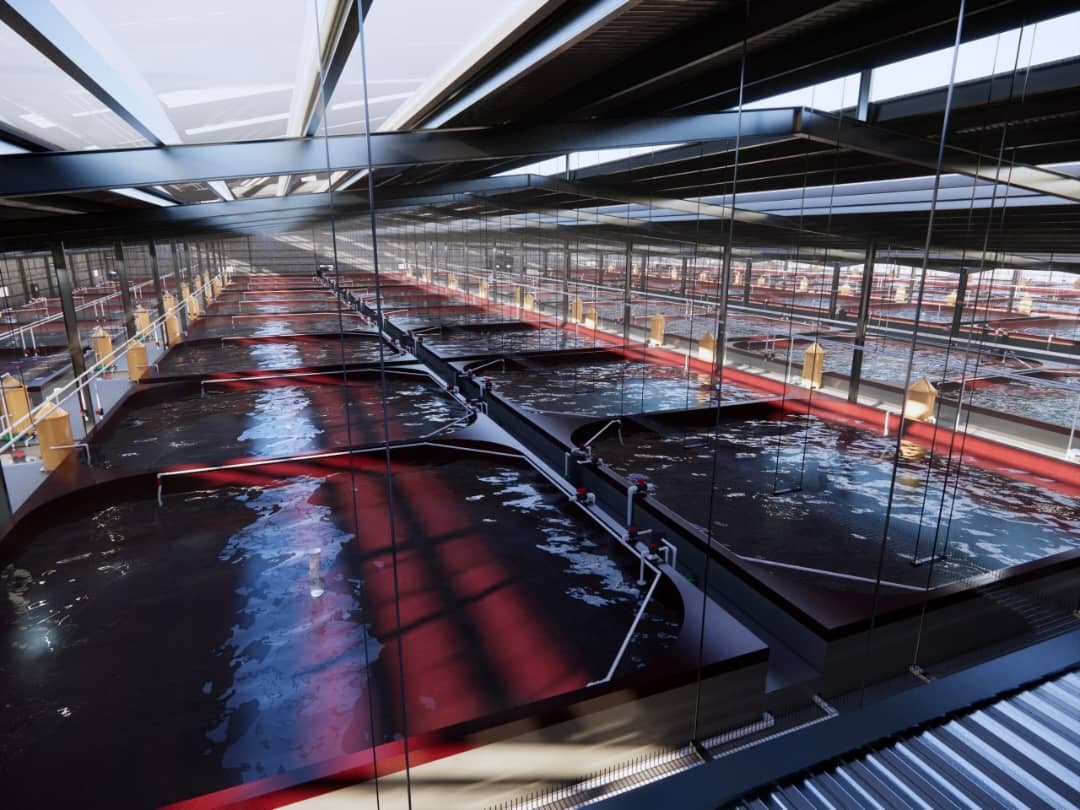 Greenhouse aquaculture system