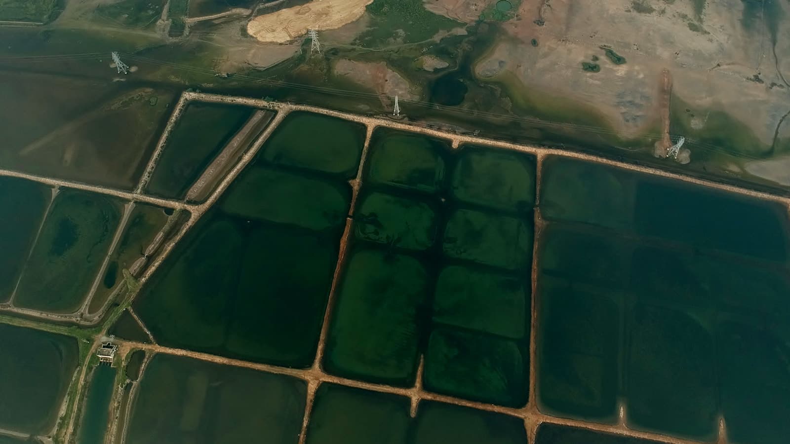 AraShrimp aquaculture ponds aerial view